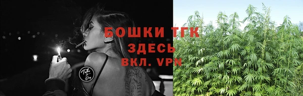 a pvp Горняк