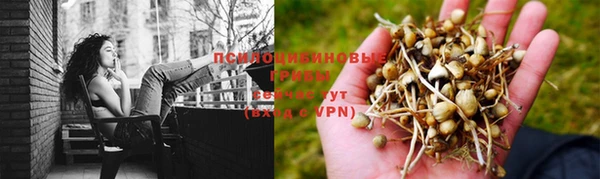мескалин Абинск