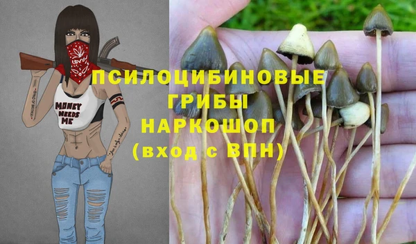 круглые Абаза